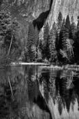 Yosemite Reflections