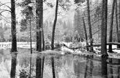 Yosemite