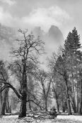 Winter in Yosemite