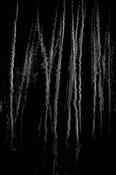 Yosemite Abstract
