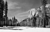 The Remains of Winter