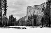 The Remains of Winter image