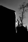 The Dawn Wall image