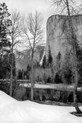 The Remains of Winter image