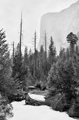 The Remains of Winter image
