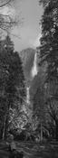 Yosemite falls image