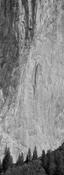 Rock Face