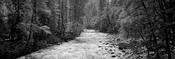 Merced River image