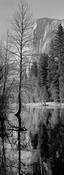 El Capitan reflections image