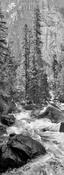 Wild River