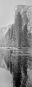El Capitan reflections