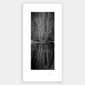 River Reflections image