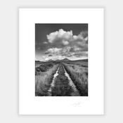Bog Road, Donegal, 2022