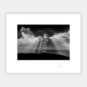 Donegal Sunburst, 2022 image