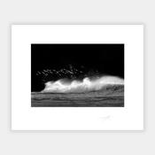 Gulls, Rocky Bay image