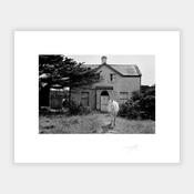 Horse &amp; House image