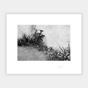 Old Bike image
