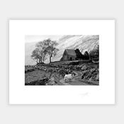 Sheeps Trees, Co Kerry image