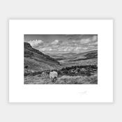 Gleninchaquin image