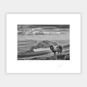 Three Sisters image