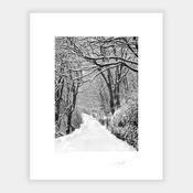 Kinsale Under Snow image