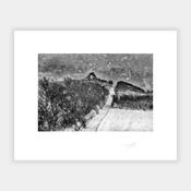 Kinsale Under Snow image