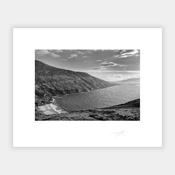 Mayo image