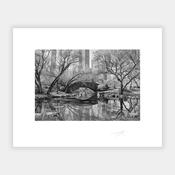 Central Park image