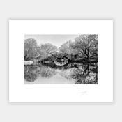 Central Park image