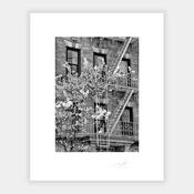 New York Building image