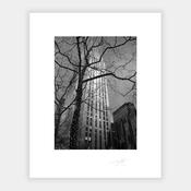 New York Building image