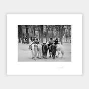Luxembourg Gardens image