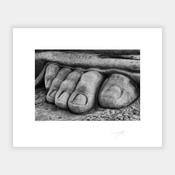 Five toes
