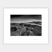 Sheep's Head