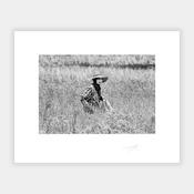 Thai Farm Worker