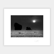 Moonlight &amp; Long-Tails image