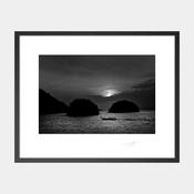 Moonlight &amp; Long-Tails image