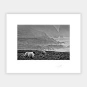 Mizen head image