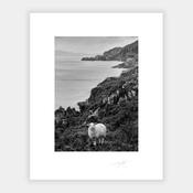 Beara Peninsula image