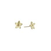9ct. Yellow Gold Gentian Burren Flower Earrings image
