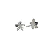 Sterling Silver Gentian Small Burren Flower Earrings image