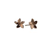 9ct. Rose Gold Gentian Burren Flower Earrings image