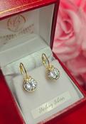 Sterling Silver Small CZ Drop Earrings with Gold Plating