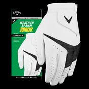 Callaway Weather Spann Golf Glove (Junior Left Hand)