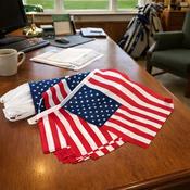 USA 25 Meter Bunting