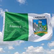 Limerick 6ft x 3ft Flag Heavy Duty