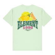 Element Fruit T-Shirt Men's (Green lily GCM0) image