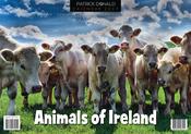 Animals Of Ireland 2027 Calendar image