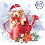 SVP Charity Christmas Cards Christmas Puppies image