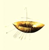 Gold Model Boat Notelet